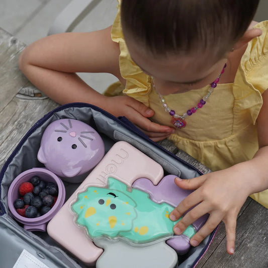 Pack de 2 gel frios ice pack