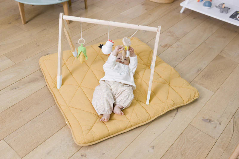 Arco de Actividades Granja