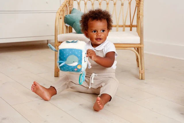Cubo de Actividades Oceano