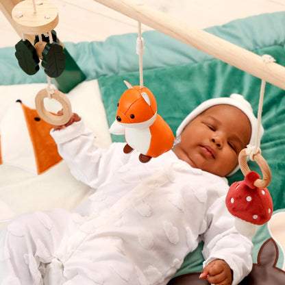 Arco de Actividades Bosque