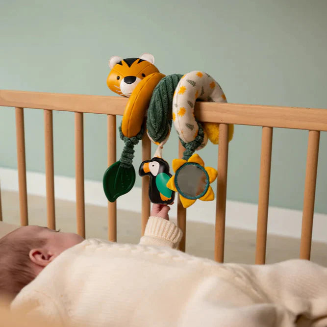 Espiral de actividades - Selva