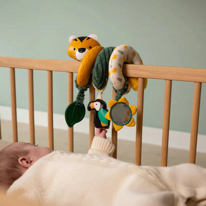 Espiral de actividades - Selva