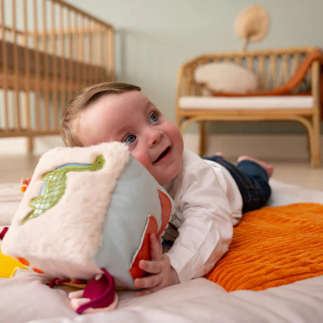 Cubo de Actividades Dinosaurios