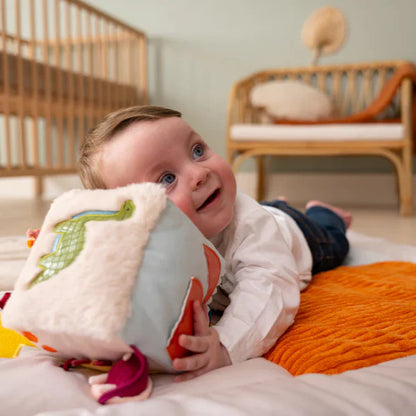 Cubo de Actividades Dinosaurios