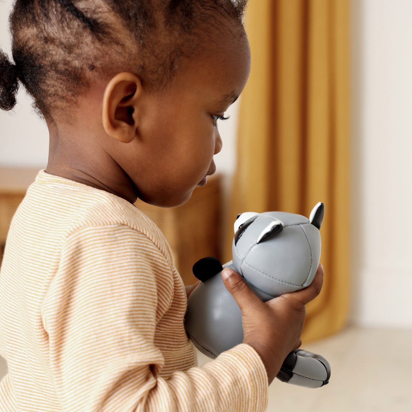 Tiny Friends Mapache