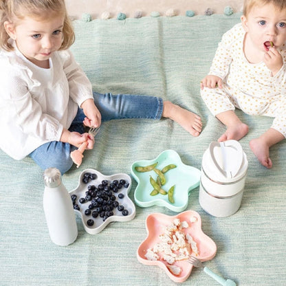 Plato de Silicona con Succión Estrella