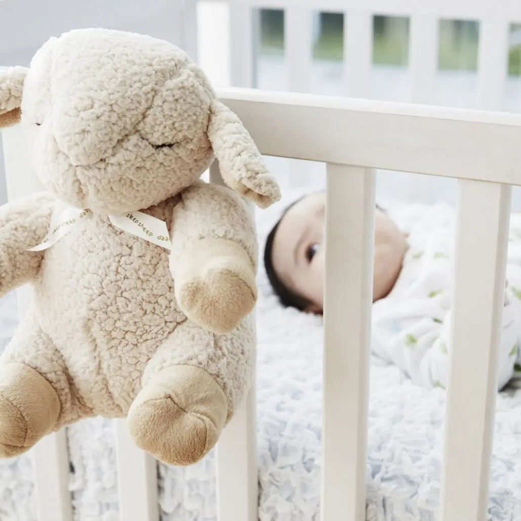 Oveja para dormir Sleep Sheep